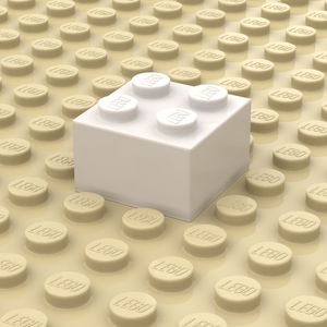 Steen 2x2 Wit Personaliseren (3003)