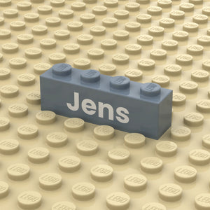 Steen 1x4 Kleur met Tekst (3010)