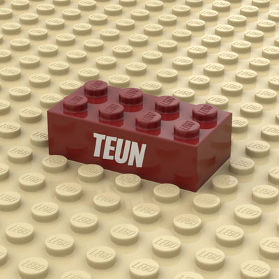 Steen 2x4 Kleur met Tekst (3001)