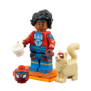 Pavitr Prabhakar / Spider-Man India