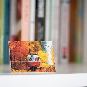 Puzzle 8x6 mit Grundplatte